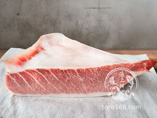黑鮪魚金三角 黑鮪魚金三角