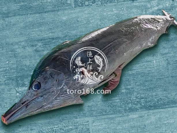 白旗魚整件 白旗魚整件