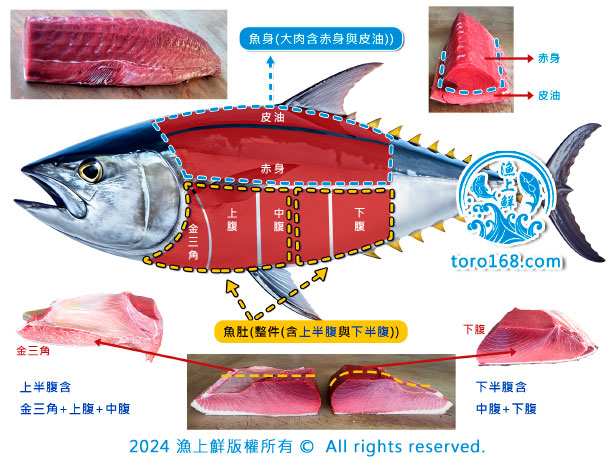 黑鮪魚部位說明圖 黑鮪魚部位說明圖